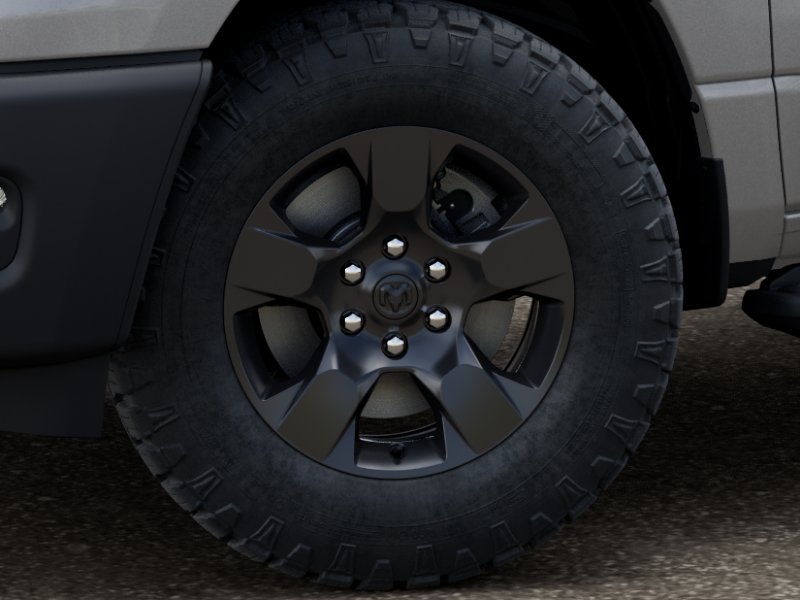 New 2026 Silver Zynith Exterior Paint RAM  image 8