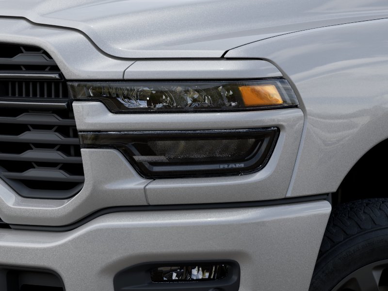 New 2026 Silver-Zynith Exterior Paint RAM Black Express image 46